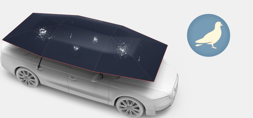 Sch&uuml;tz Ihr Auto vor Vogelkot